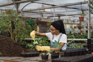 garden care products
