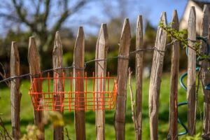 Garden fencing ideas